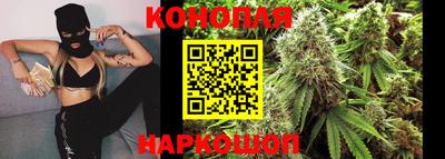 трава Кингисепп