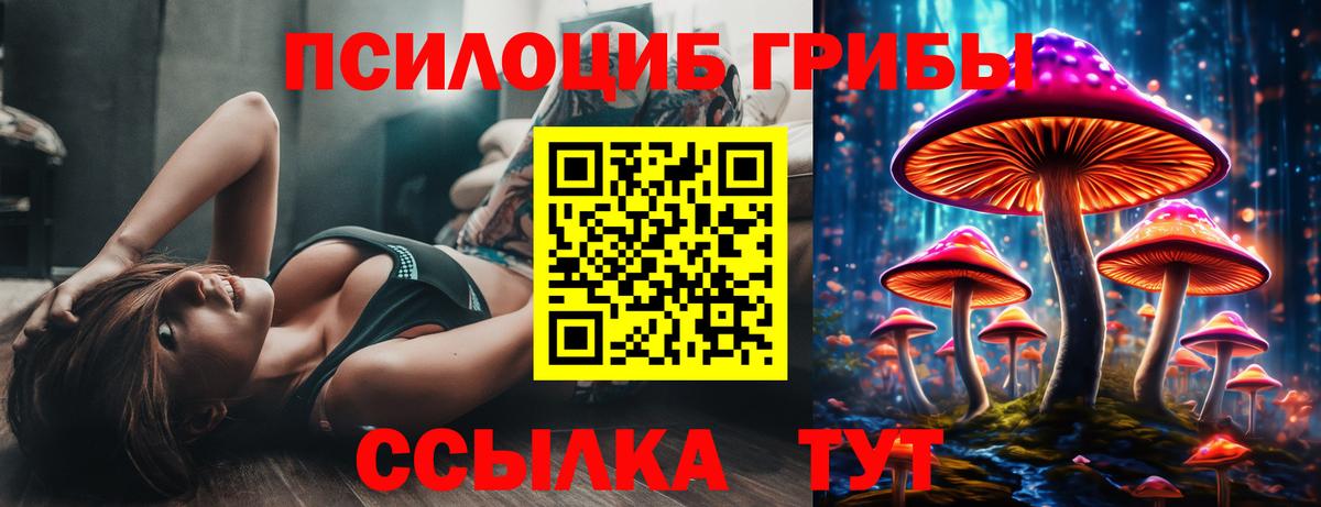 Галлюциногенные грибы MAGIC MUSHROOMS  как найти   Кольчугино  Вход с VPN 